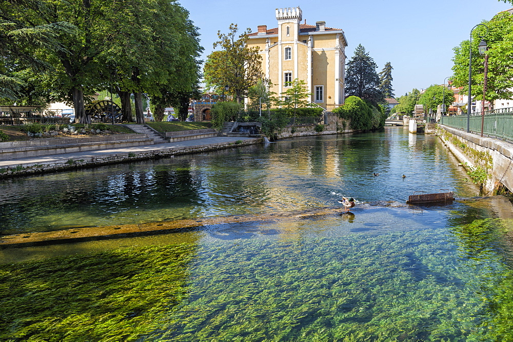 Waterways, L'Isle sur la Sorgue, Vaucluse, Provence Alpes Cote d'Azur region, France, Europe