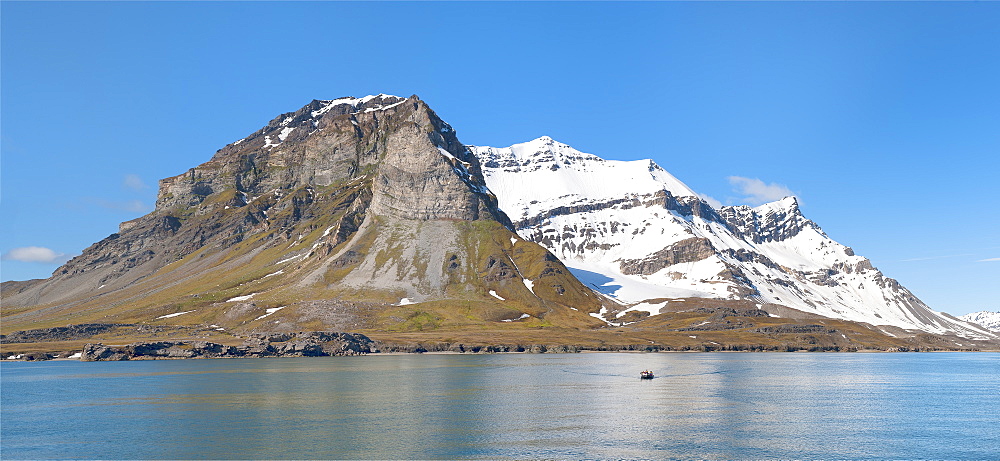 Alkehornet, Spitsbergen West coast, Svalbard archipelago, Norway, Scandinavia, Europe 