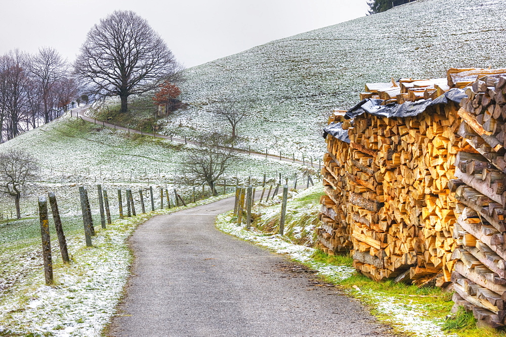 Winding road and wood pile near St. Trudpert Monastery, Munstertal, Black Forest, Baden-Wurttemberg, Germany, Europe 