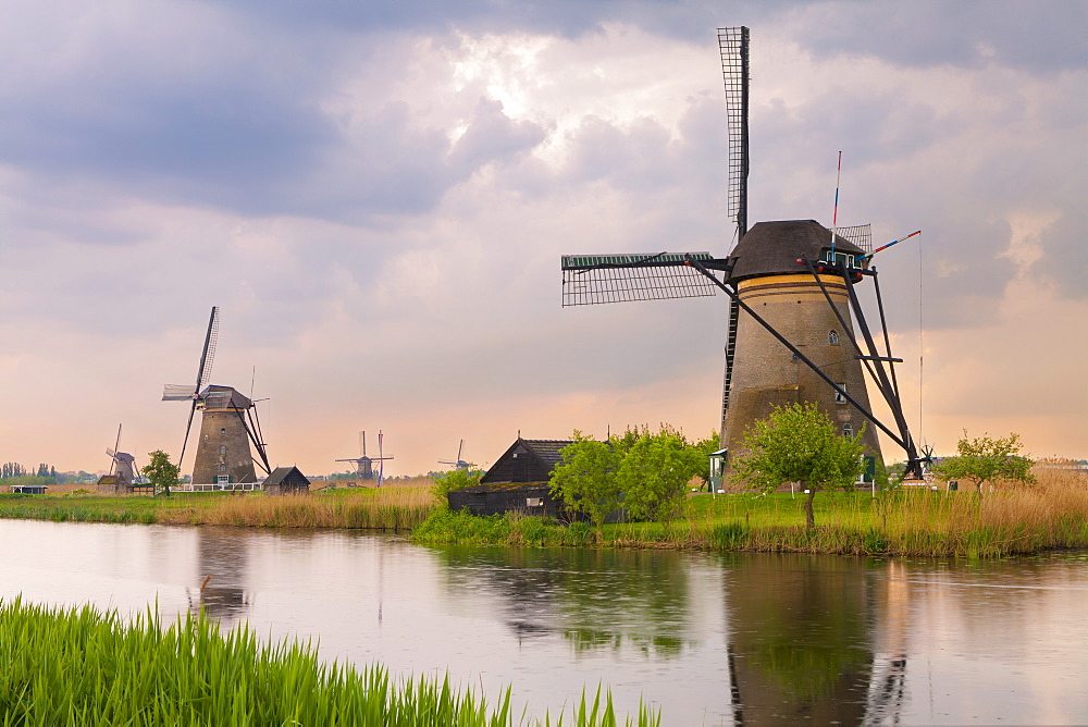 Historic windmills at Kinderdijk, UNESCO World Heritage Site, South Holland, Netherlands, Europe