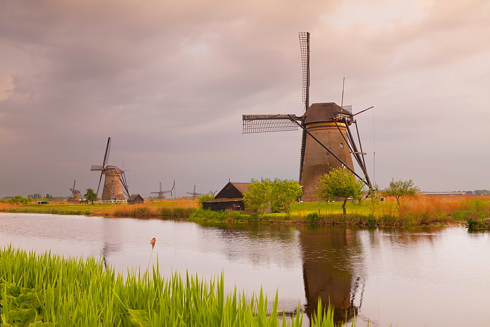 Historic windmills at Kinderdijk, UNESCO World Heritage Site, South Holland, Netherlands, Europe