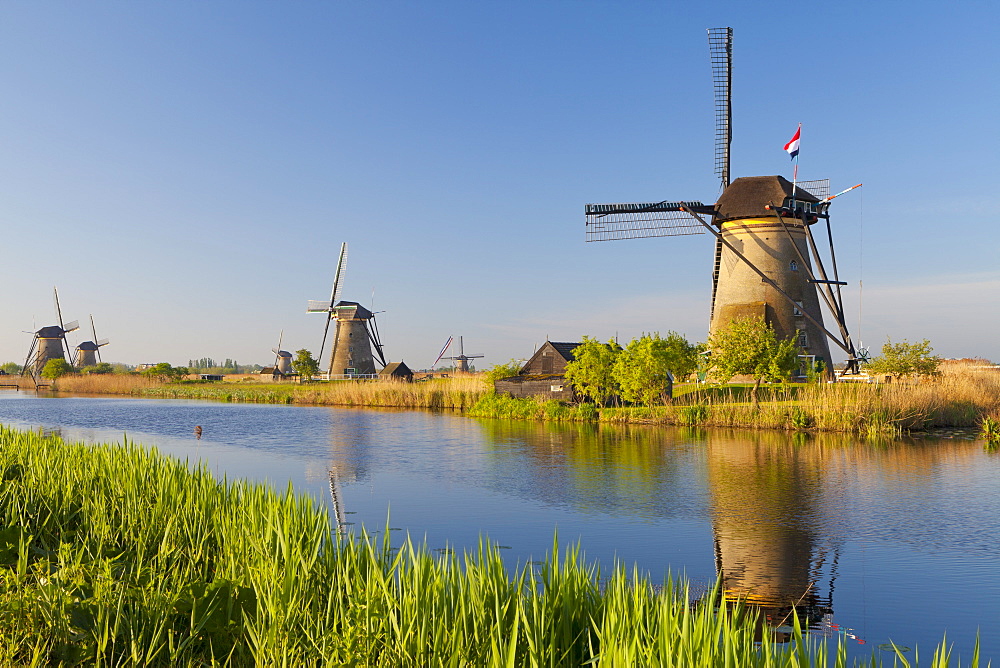 Historic windmills at Kinderdijk, UNESCO World Heritage Site, South Holland, Netherlands, Europe