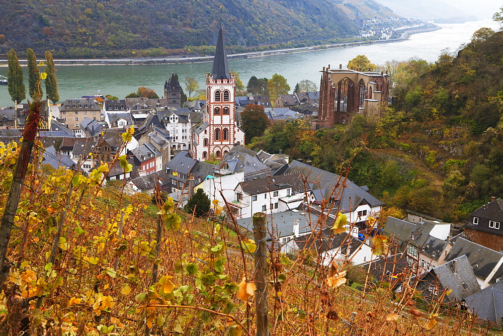 Overview of Bacharach and the Rhine River in autumn, Rhineland-Palatinate, Germany, Europe