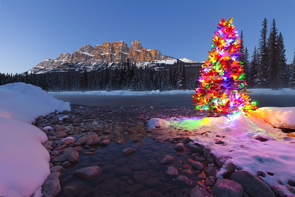 Christmas Tree, Castle Mountain and the Bow River in Winter, Banff National Park, Alberta, Canada, North America