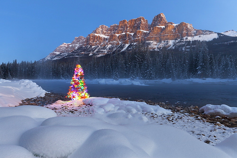 Christmas Tree, Castle Mountain and the Bow River in Winter, Banff National Park, Alberta, Canada, North America