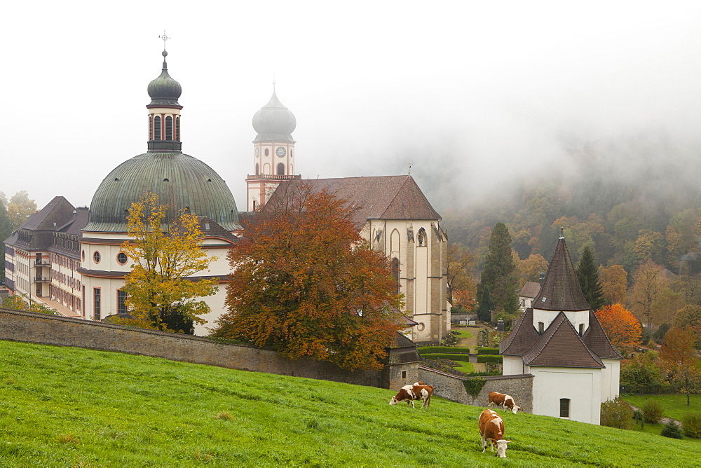 St. Trudpert Monastery (St. Trudpert Abbey) in autumn, Black Forest, Baden-Wurttemberg, Germany, Europe 