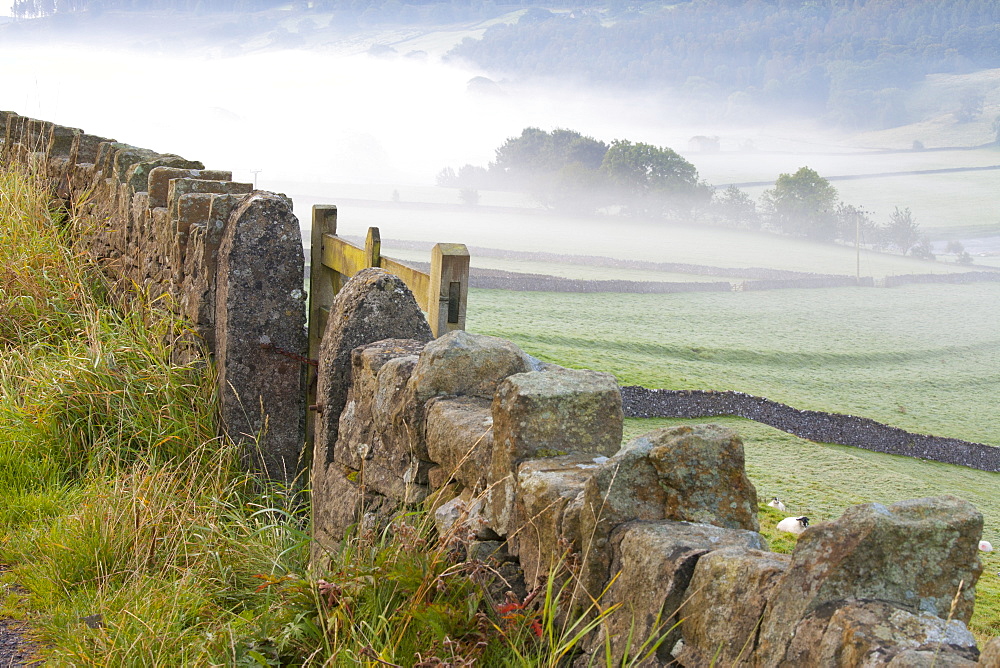 Stone Fence, Burnsall, Yorkshire Dales National Park, Yorkshire, England, United Kingdom, Europe 