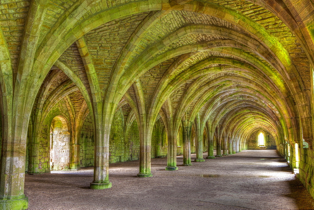 The Cellarium, Fountains Abbey, UNESCO World Heritage Site, North Yorkshire, Yorkshire, England, United Kingdom, Europe 