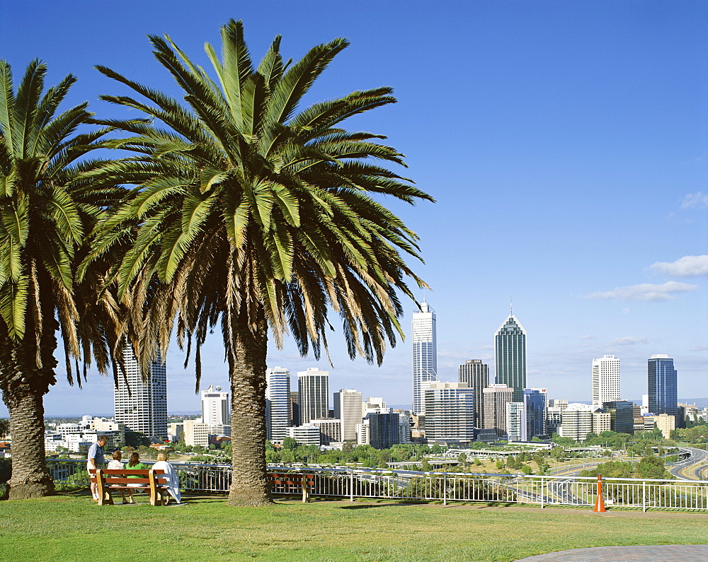 Palm trees and city skyline, Perth, Western Australia, Australia, Pacific