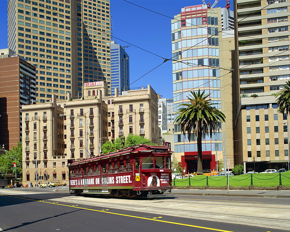 A tram on Macarthur Street in Melbourne, Victoria, Australia, Pacific