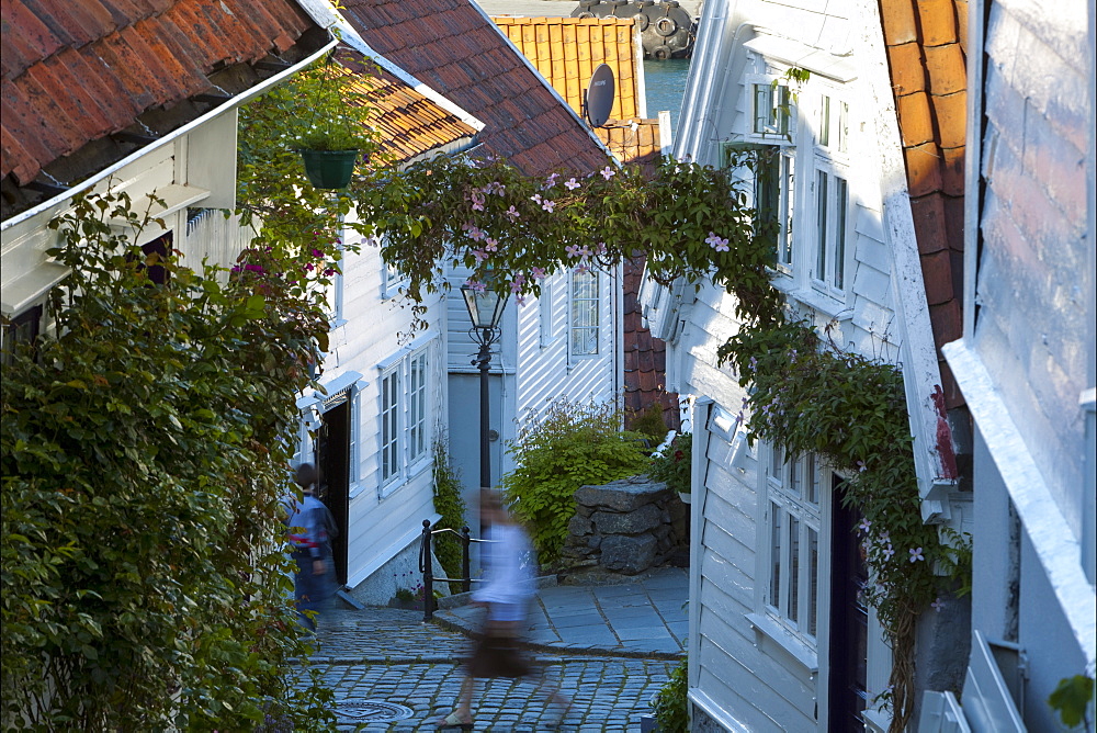 Wooden houses and cobbled streets in Stavanger's old town, Stavanger, Rogaland, Norway, Scandinavia, Europe 