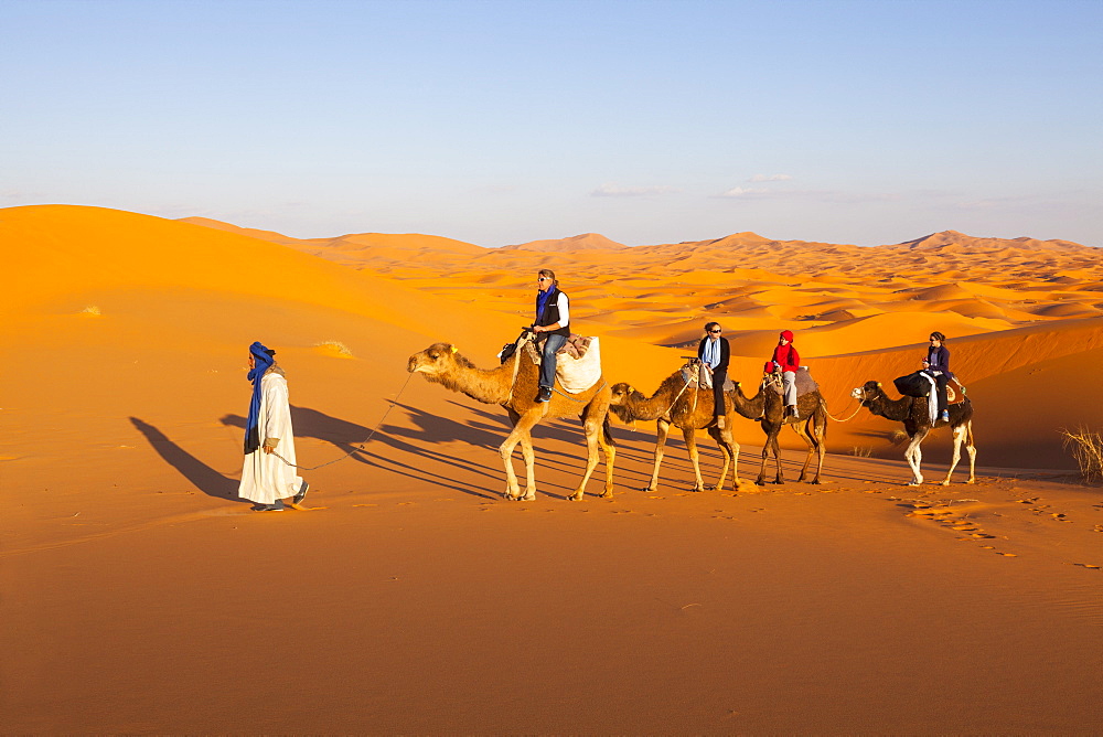 Tourists on camel safari, Sahara Desert, Merzouga, Morocco, North Africa, Africa 