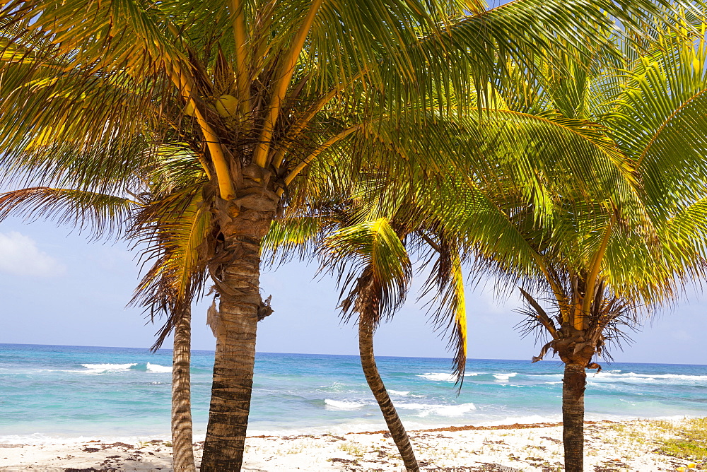 Long Bay, East Coast, Portland Parish, Jamaica, West Indies, Caribbean, Central America 