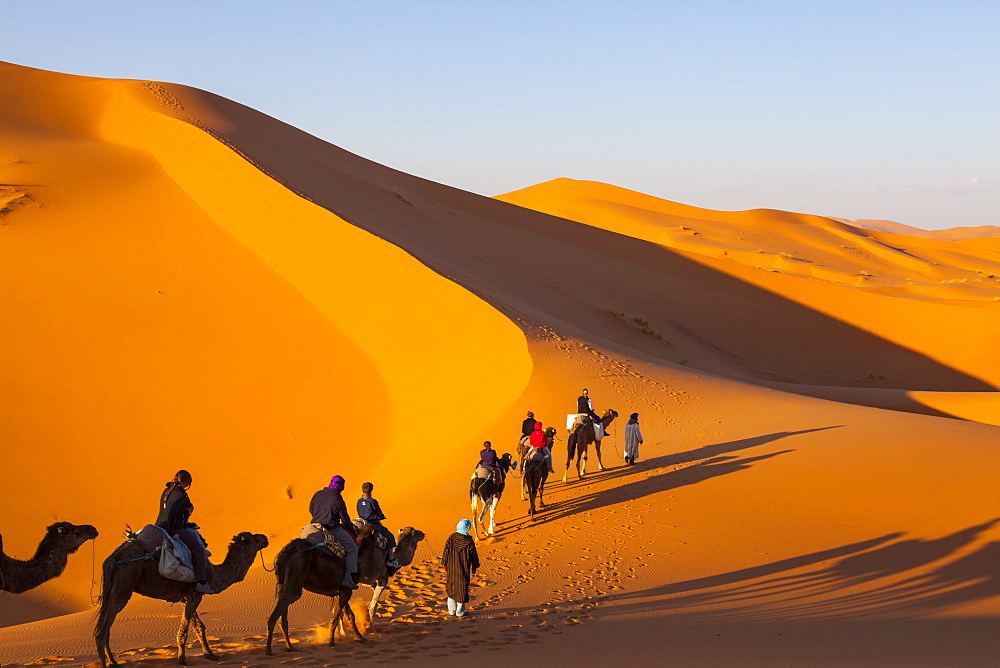 Tourists on camel safari, Sahara Desert, Merzouga, Morocco, North Africa, Africa 