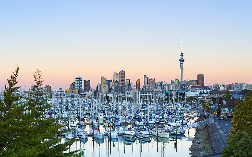 Westhaven Marina and city skyline illuminated at sunset, Waitemata Harbour, Auckland, North Island, New Zealand, Pacific