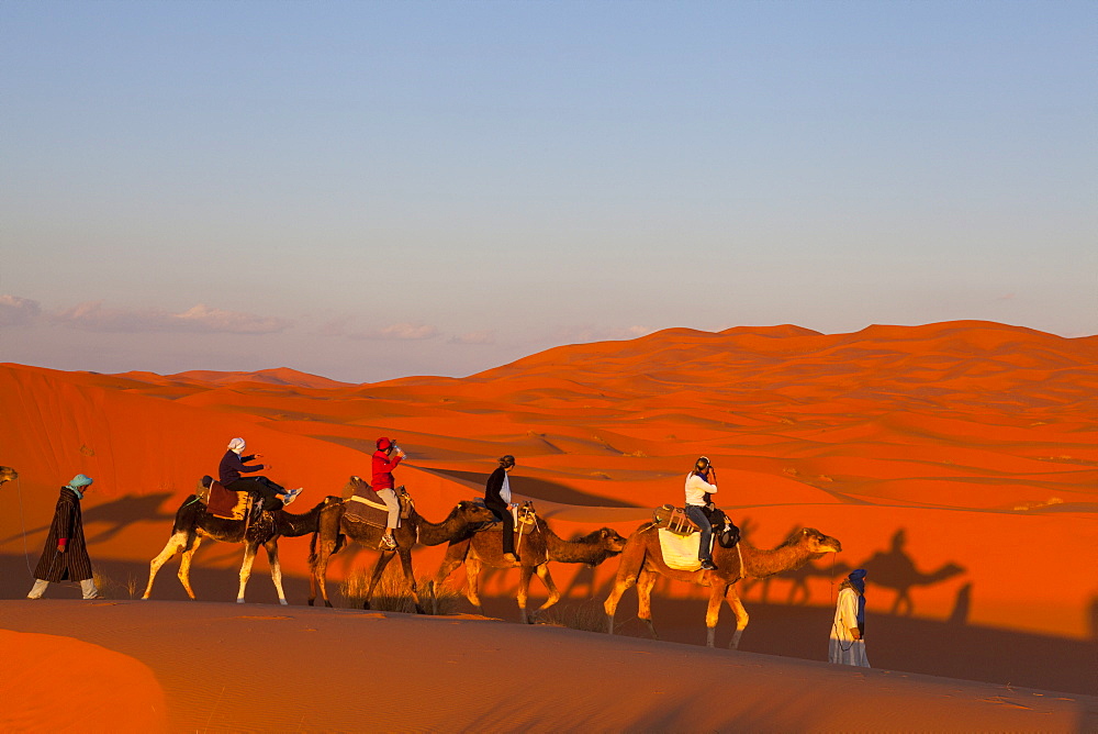 Tourists on camel safari, Sahara Desert, Merzouga, Morocco, North Africa, Africa 