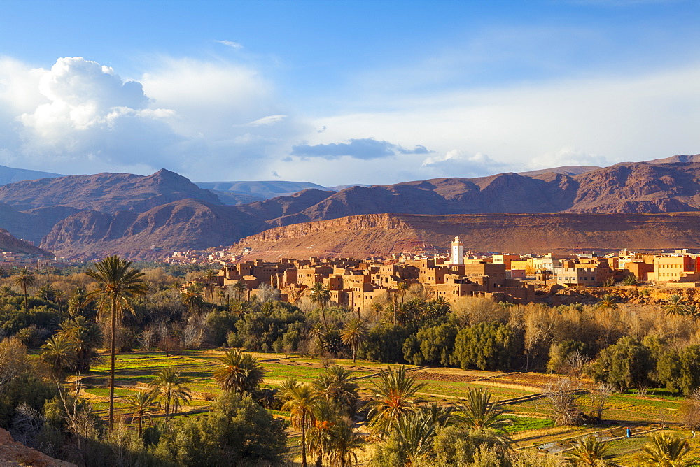 Tinerhir kasbahs and palmery, Tinghir, Todra Valley, Morocco, North Africa, Africa