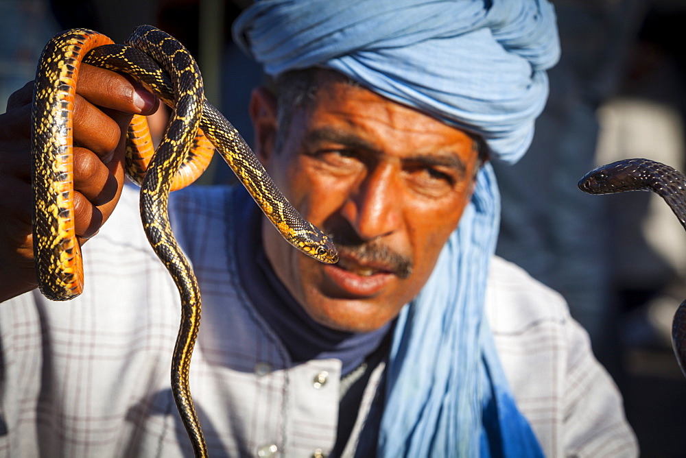 Snake charmer, Djemaa el-Fna Square, The Medina, Marrakesh, Morocco, North Africa, Africa