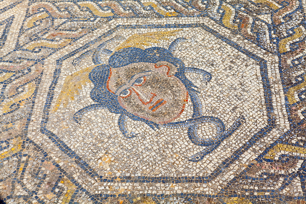 Mosaic detail from the House of Dionysus, Volubilis, UNESCO World Heritage Site, Morocco, North Africa, Africa 