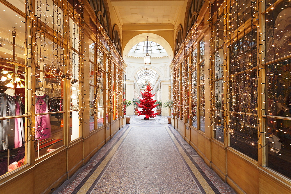 Christmas tree in Galerie Colbert, Paris, Ile de France, France, Europe 