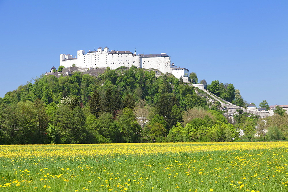 Fortress Hohensalzburg, Salzburg, Salzburger Land, Austria, Europe 