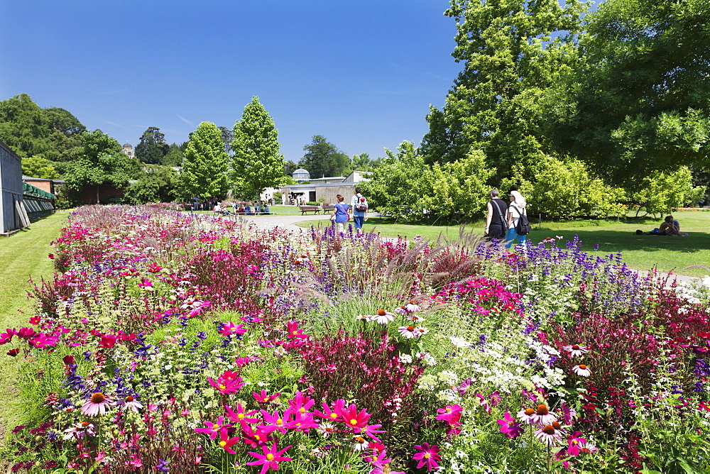 Wilhelma Zoo and Botanical Gardens, Stuttgart, Baden Wurttemberg, Germany, Europe