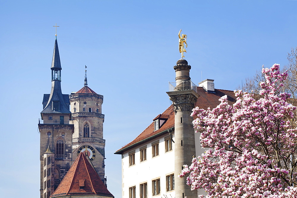 Magnolia tree and golden sculpture, Alte Kanzlei restaurant, with Stiftskirche church, Stuttgart, Baden Wurttemberg, Germany, Europe