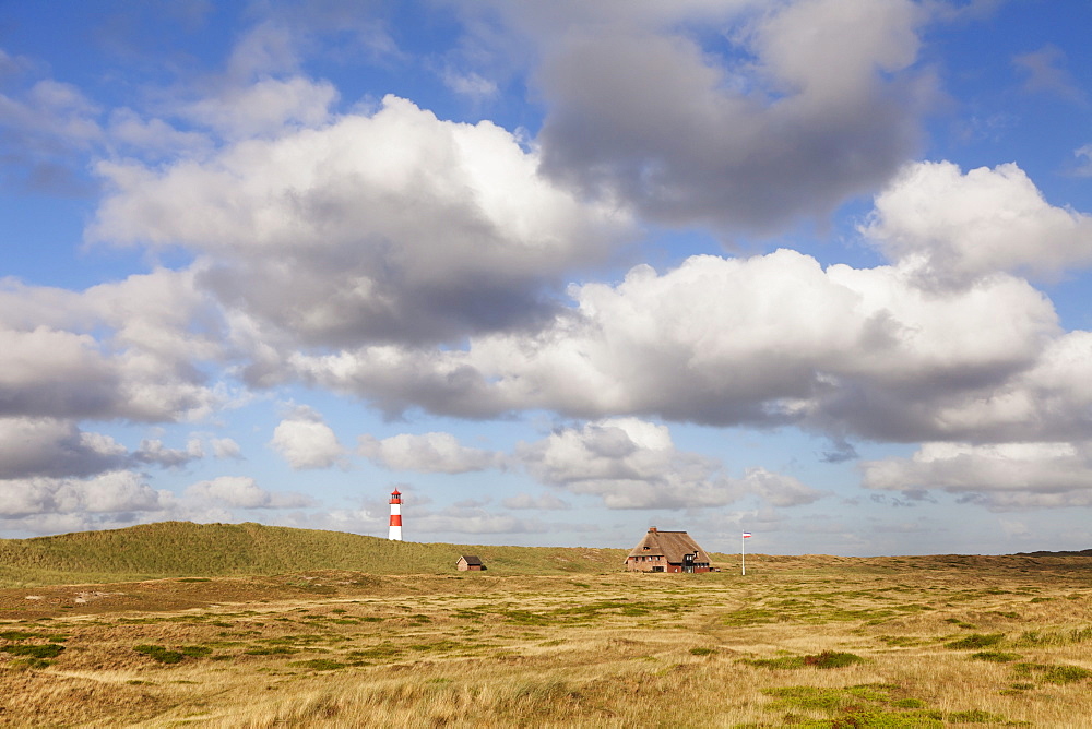 Lighthouse List Ost and Frisian house, Ellenbogen, Sylt Island, North Frisian Islands, Schleswig Holstein, Germany, Europe 