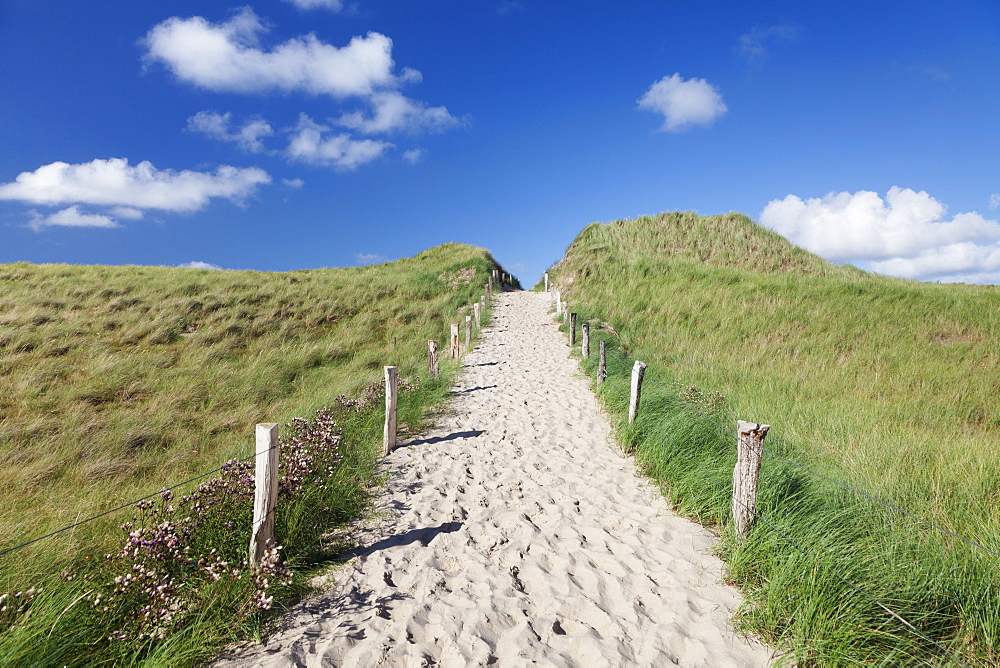 Path through dunes, Sylt Islands, North Frisian Islands, Schleswig Holstein, Germany, Europe