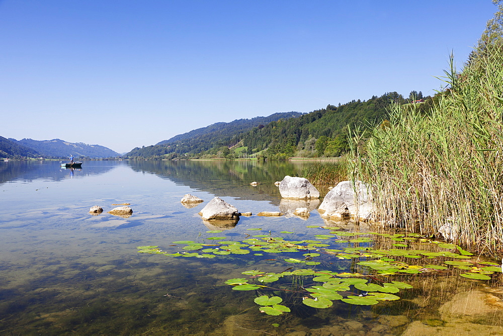 Alpsee Lake, Immenstadt, Allgau, Bavaria, Germany, Europe 