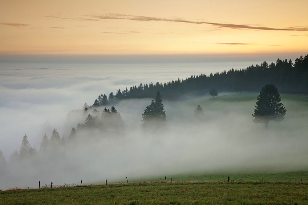 View from Schauinsland mountain in autumn, Black Forest, Baden Wurttemberg, Germany, Europe 