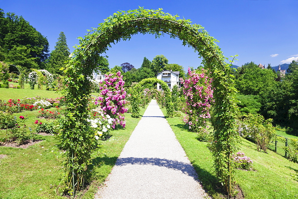 Rose arches, Rose Garden Beutig, Baden-Baden, Black Forest, Baden Wurttemberg, Germany, Europe