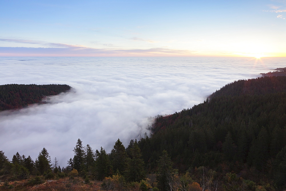 Feldberg, Black Forest, Baden Wurttemberg, Germany, Europe 