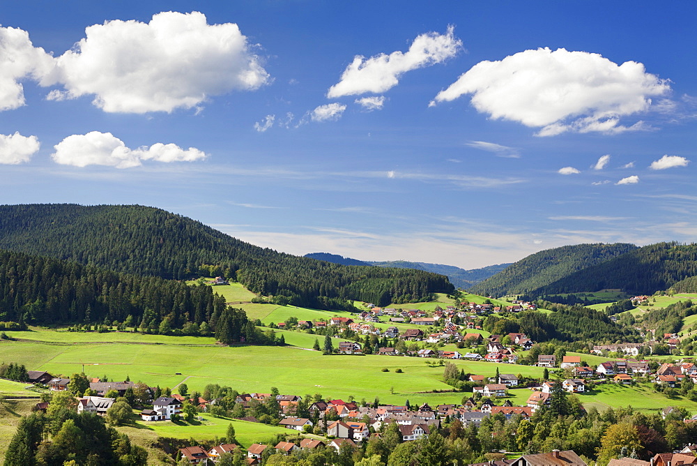 Baiersbronn, Black Forest, Baden Wurttemberg, Germany, Europe