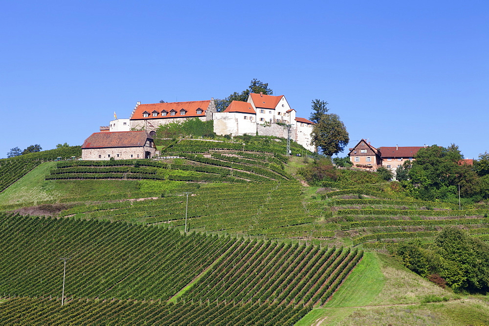 Staufenberg Castle, Durbach, Black Forest, Baden Wurttemberg, Germany, Europe