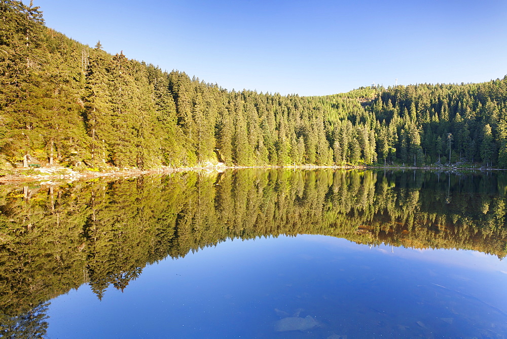 Hornisgrinde mountain reflecting in Mummelsee Lake, Black Forest, Baden Wurttemberg, Germany, Europe