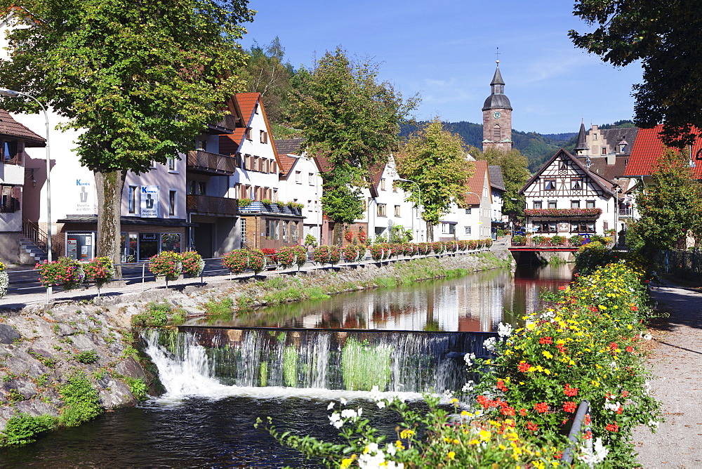 Oppenau, Black Forest, Baden Wurttemberg, Germany, Europe