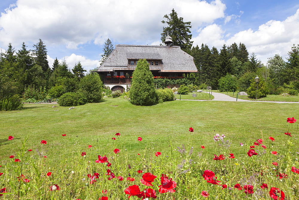 Museum Hasli, Grafenhausen, Black Forest, Baden Wurttemberg, Germany, Europe 