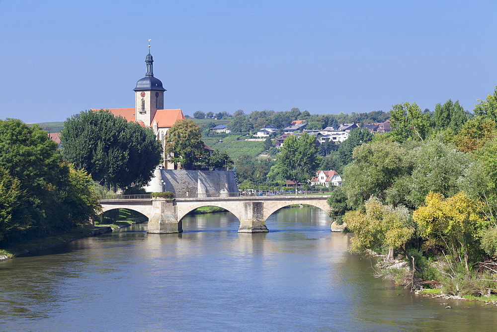 Regiswindiskirche church and the old Bridge over the Neckar River, Lauffen am Neckar, Baden Wurttemberg, Germany, Europe