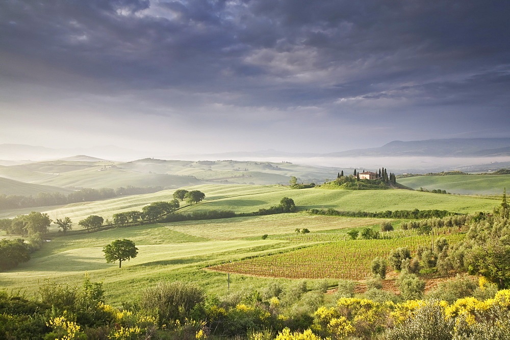 Podere Belvedere at sunrise, San Quirico d'Orcia, Val d'Orcia, UNESCO World Heritage Site, Tuscany, Italy, Europe