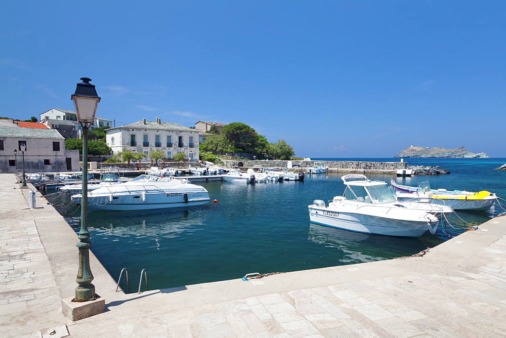 Port of Macinaggio and the island La Giraglia in the background, Corsica, France, Mediterranean, Europe 