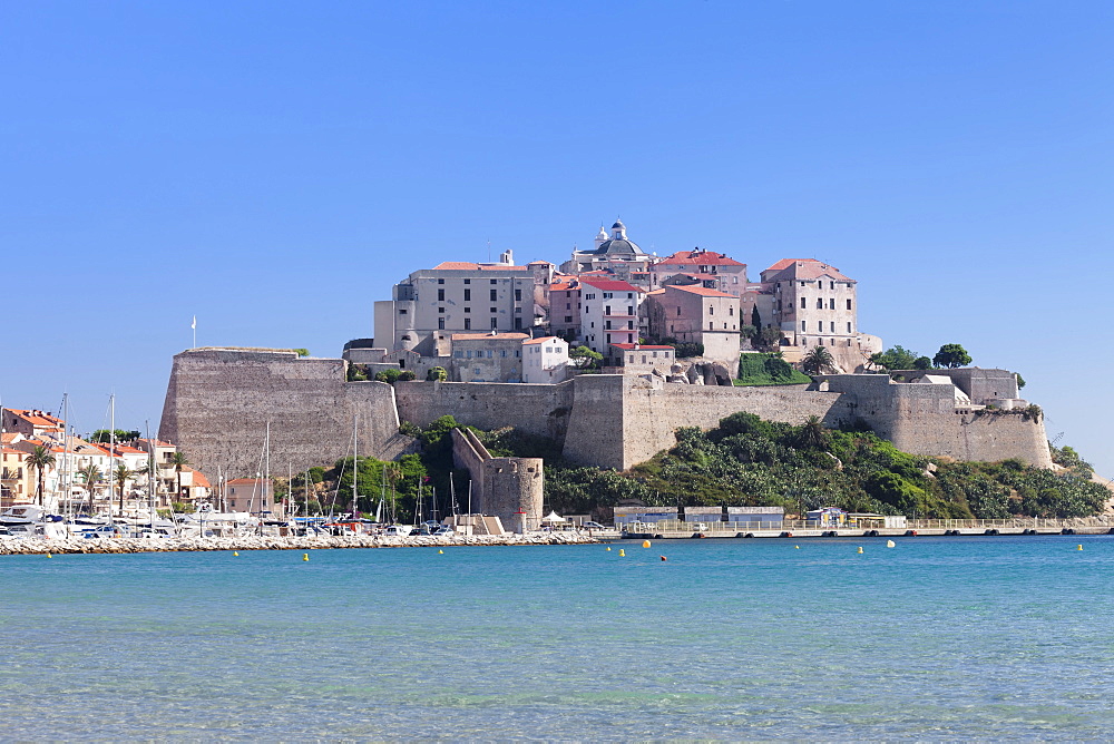 Citadel, Calvi, Balagne, Corsica, France, Mediterranean, Europe 