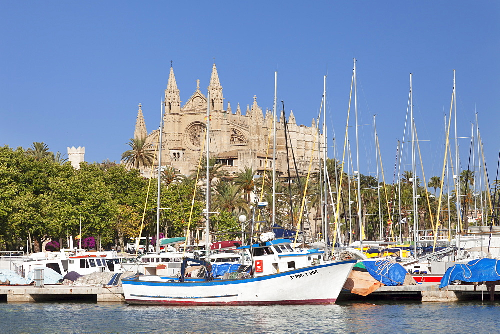 Fishing harbour and Cathedral of Santa Maria of Palma (La Seu), Palma de  Mallorca, Majorca, Balearic Islands, Spain, Mediterranean, Europe