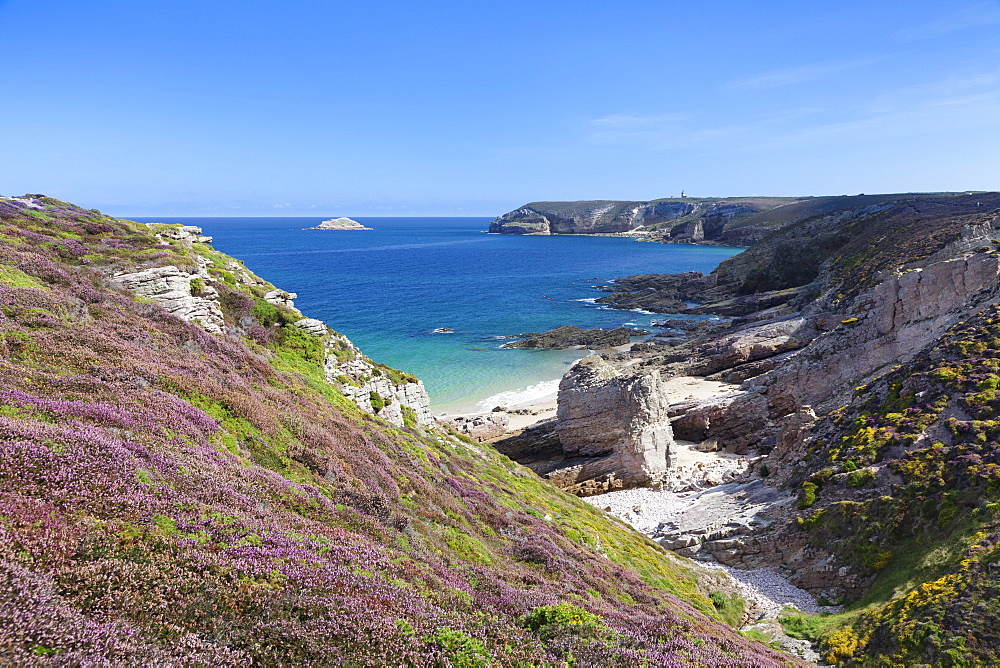 View along the cliffs of Cap Frehel to the lighthouse, Cotes d'Armor, Brittany, France, Europe 