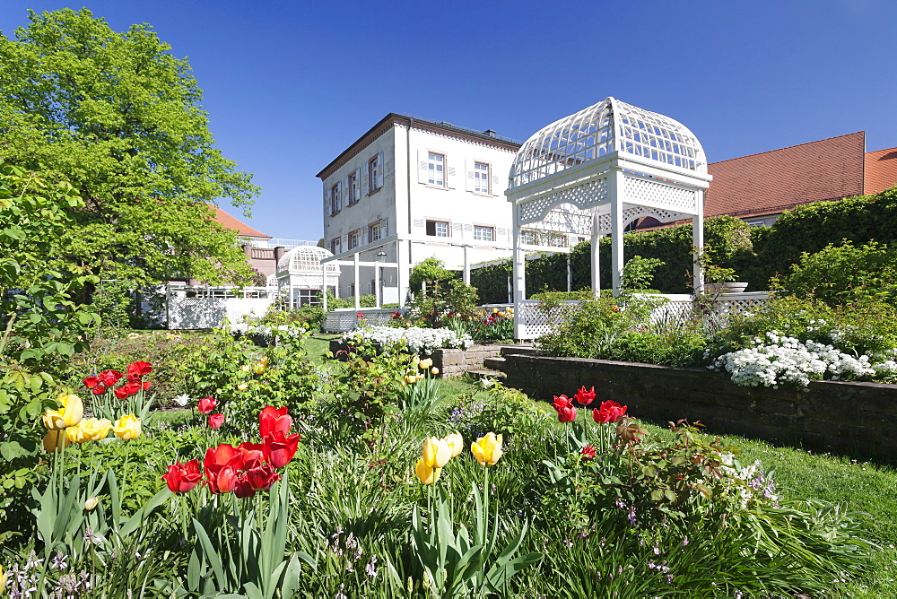 Rosengarten (rose garden) in spring, Ettlingen, Baden-Wurttemberg, Germany, Europe