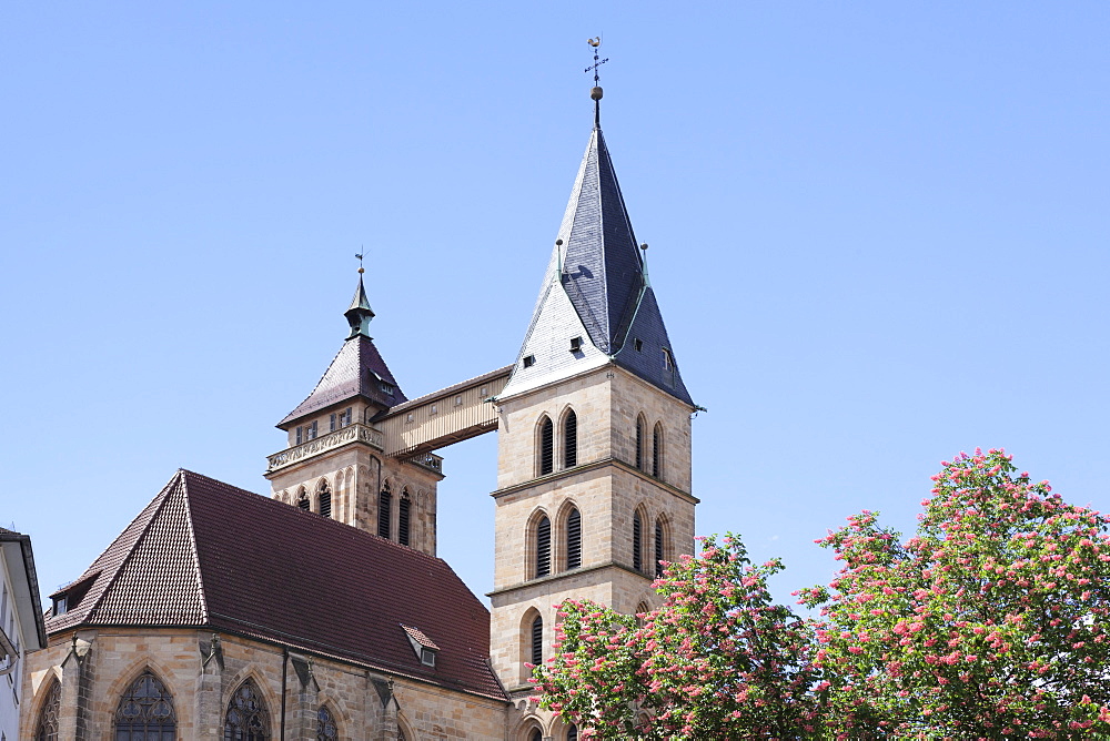 St. Dionysius church (Stadtkirche St. Dionys), Esslingen (Esslingen-am-Neckar), Baden-Wurttemberg, Germany, Europe