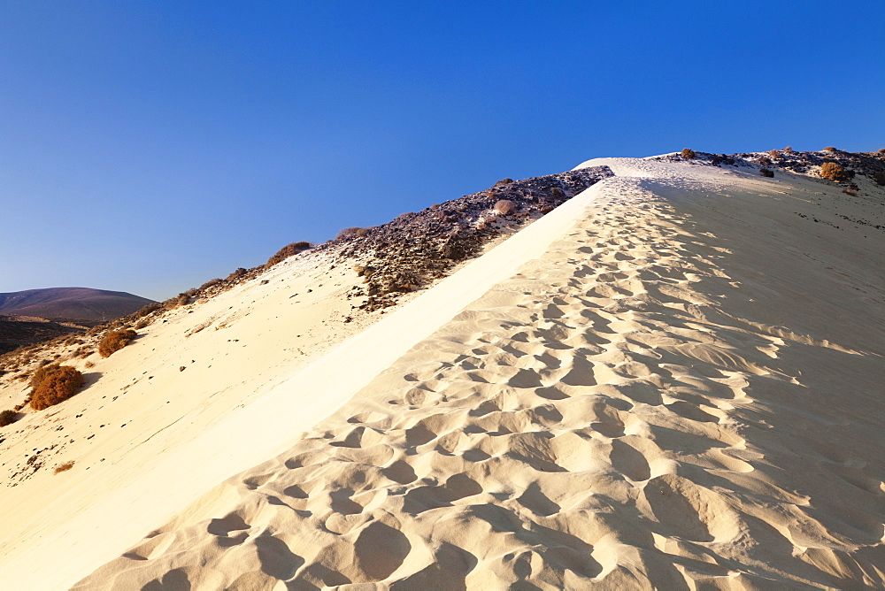 Sand dune, Risco del Paso, Playa de Sotavento, Fuerteventura, Canary Islands, Spain, Europe 