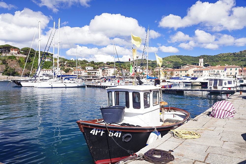 Harbour with fishing boats, Porto Azzuro, Island of Elba, Livorno Province, Tuscany, Italy, Mediterranean, Europe