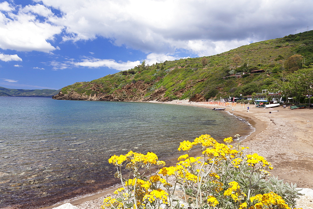 Innamorata beach, Golfo Stella, Island of Elba, Livorno Province, Tuscany, Italy, Europe