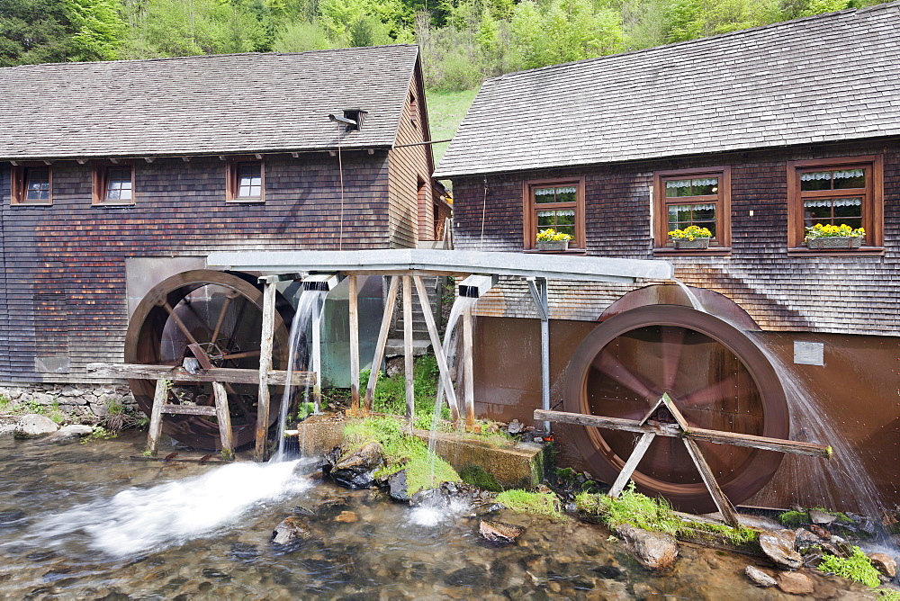 Hexenlochmuehle Mill near Furtwangen in spring, Black Forest, Baden Wurttemberg, Germany, Europe